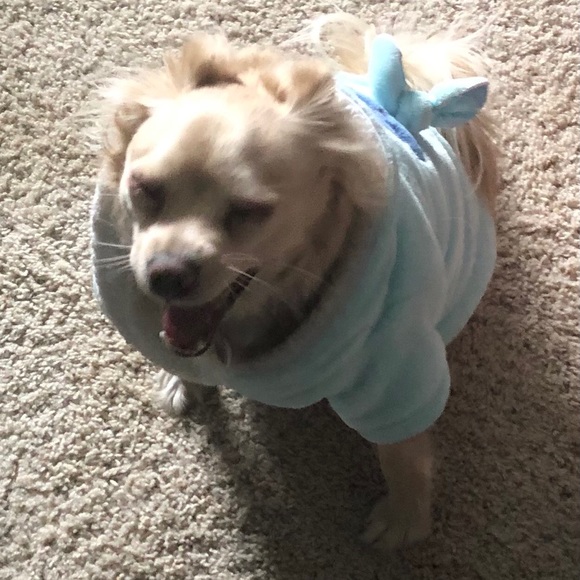 yaoyaosmith